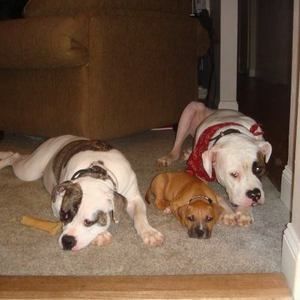 Meet your Posher, Melinda